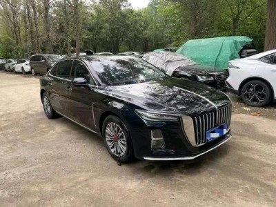沈阳市泡水车24年红旗H5泡水车2.0自动档