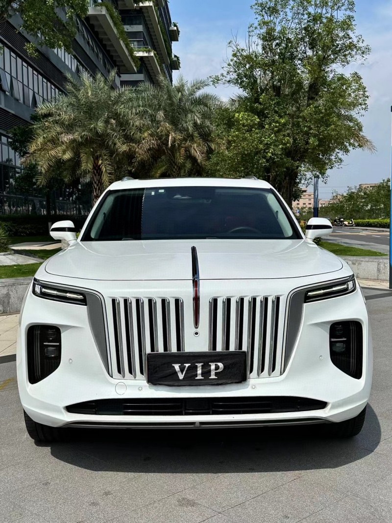 抵押车2021-06红旗HS9抵押车纯电L